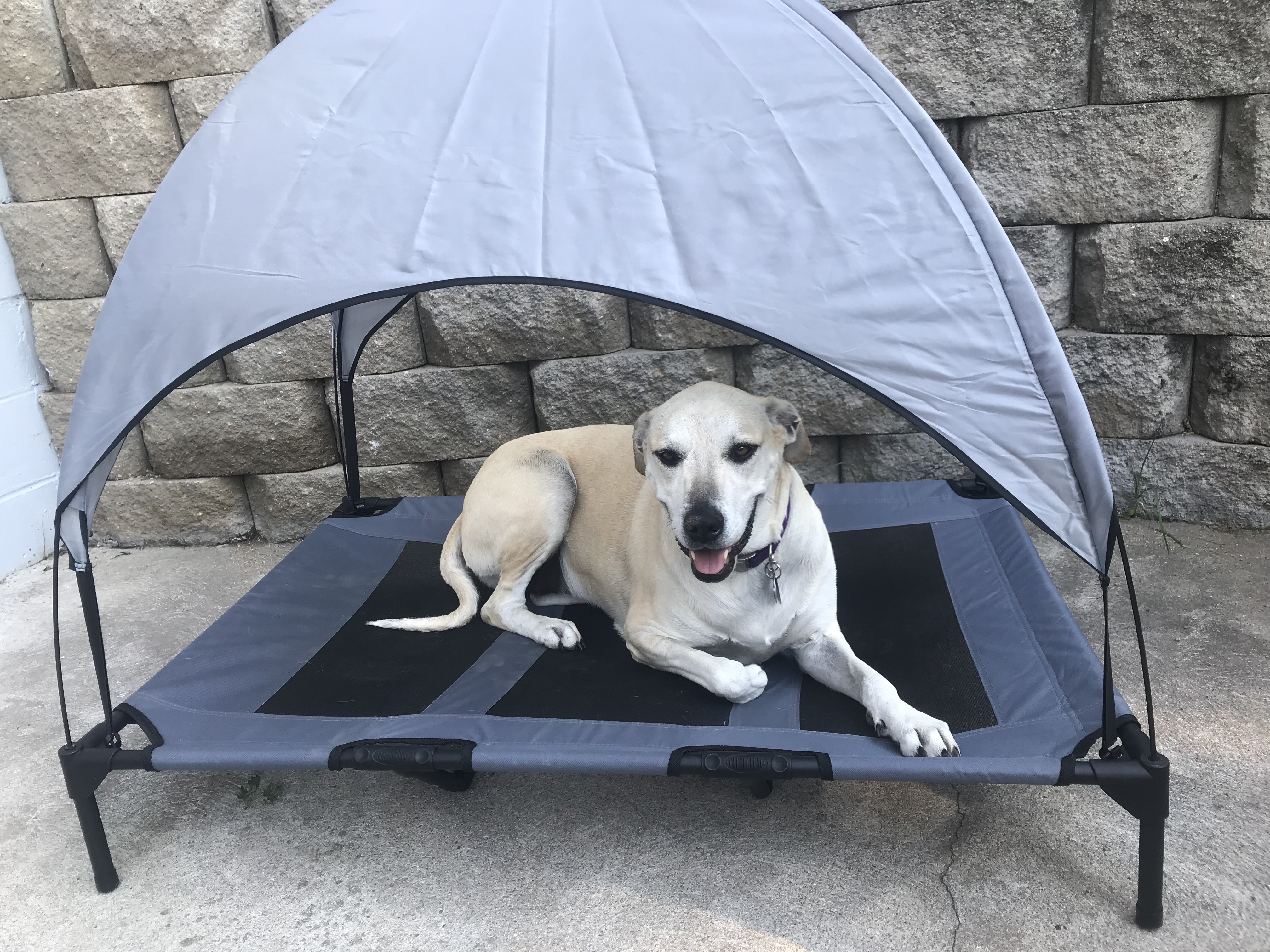 Pet Outdoor Supplies Covered Loft Bed Camp Bed Sunshade Tent photo review