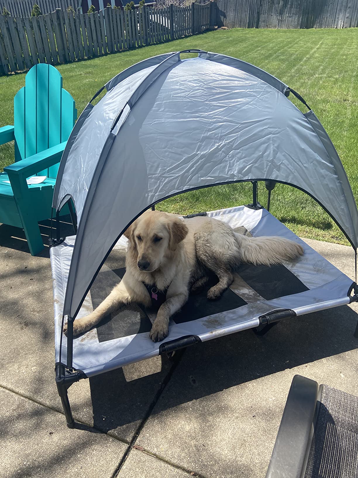 Pet Outdoor Supplies Covered Loft Bed Camp Bed Sunshade Tent photo review