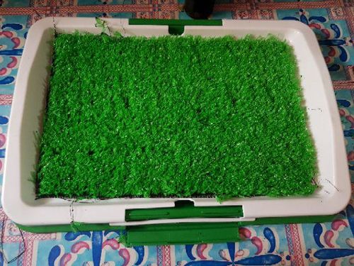 Portable Indoor Dog Porch Potty Grass Pee Pad photo review