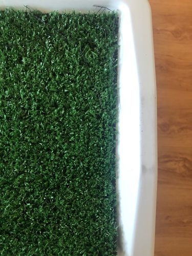 Portable Indoor Dog Porch Potty Grass Pee Pad photo review