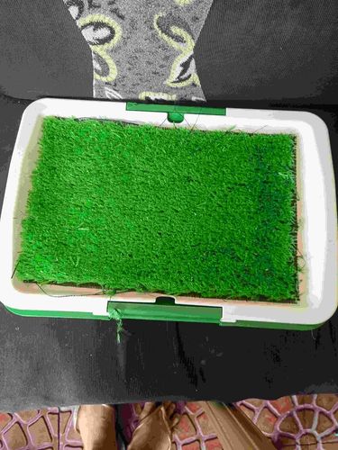 Portable Indoor Dog Porch Potty Grass Pee Pad photo review