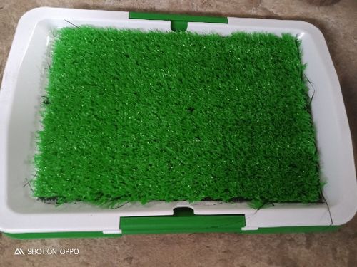 Portable Indoor Dog Porch Potty Grass Pee Pad photo review