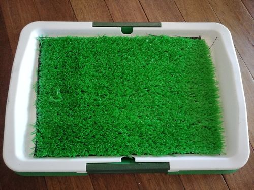 Portable Indoor Dog Porch Potty Grass Pee Pad photo review