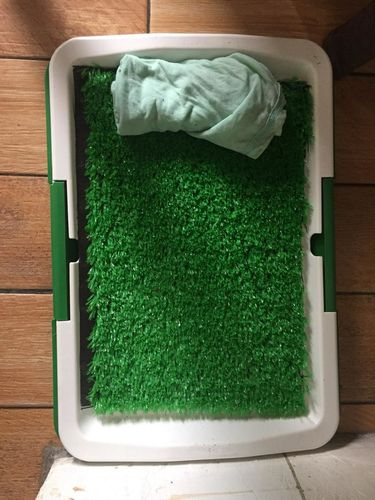 Portable Indoor Dog Porch Potty Grass Pee Pad photo review