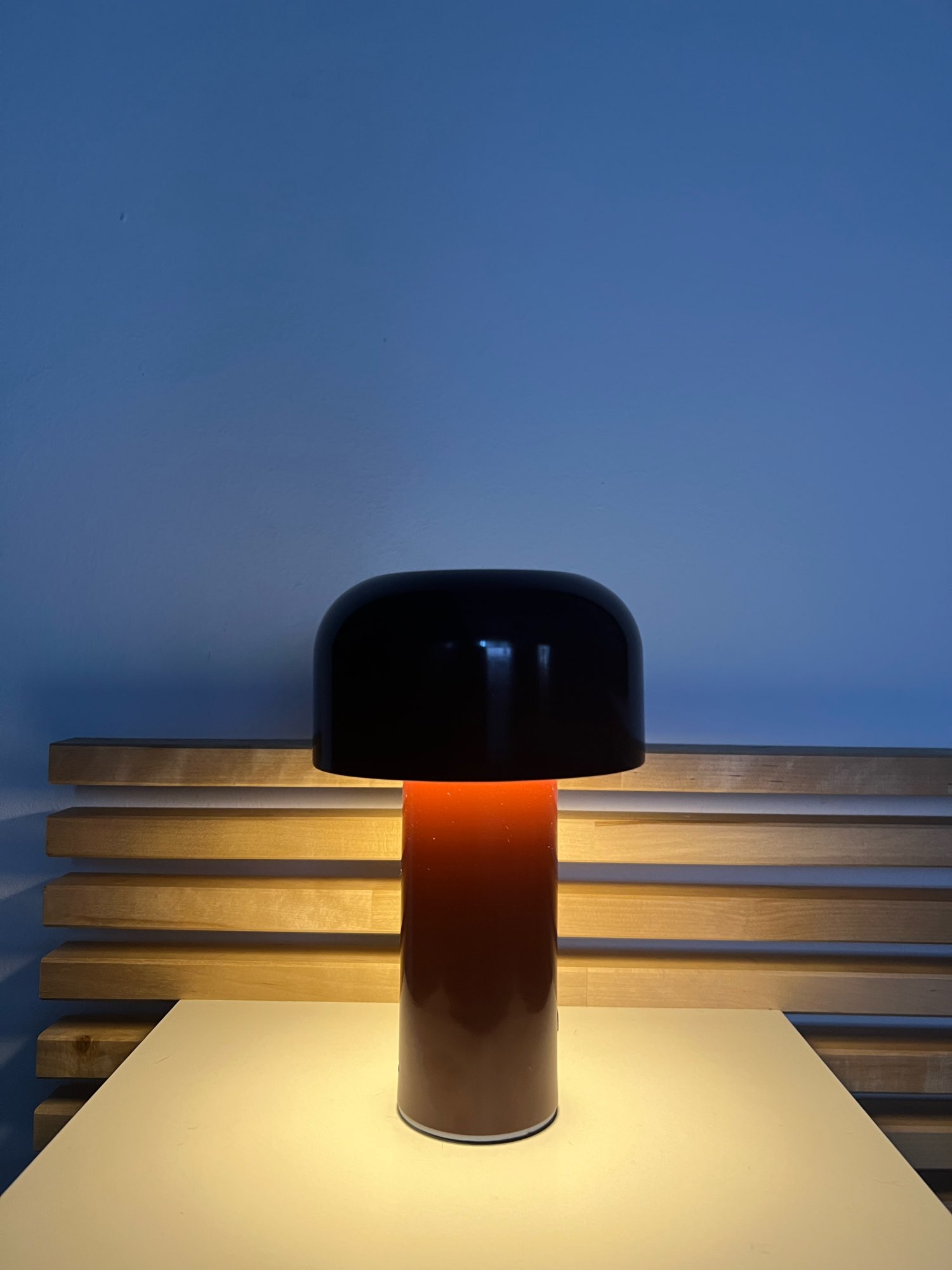 Portable Mushroom Lamp with Touch Dimming - USB Rechargeable Mushroom Light photo review