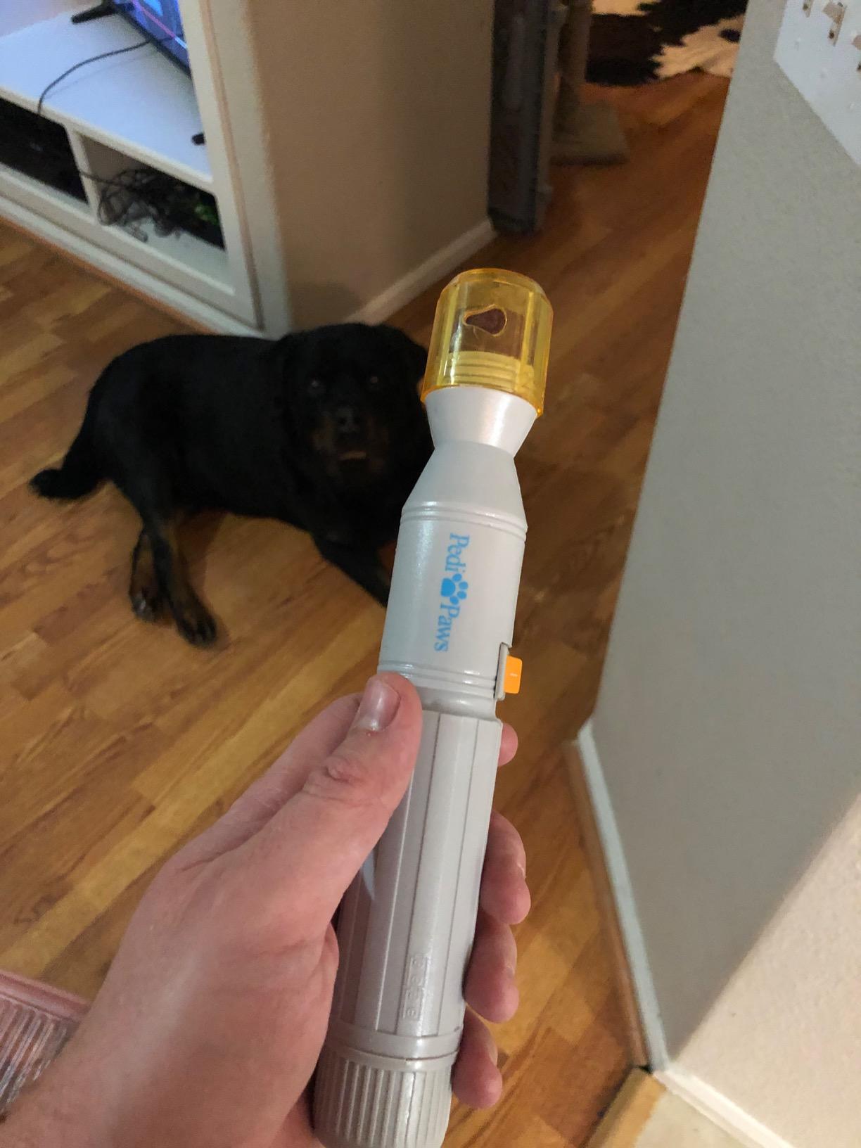 Premium Painless Nail Clipper For Pets - All Size Dogs & Cats photo review