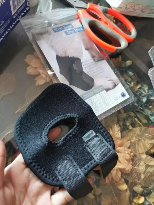 Comfortable Pet Ankle and Knee Support Splints photo review