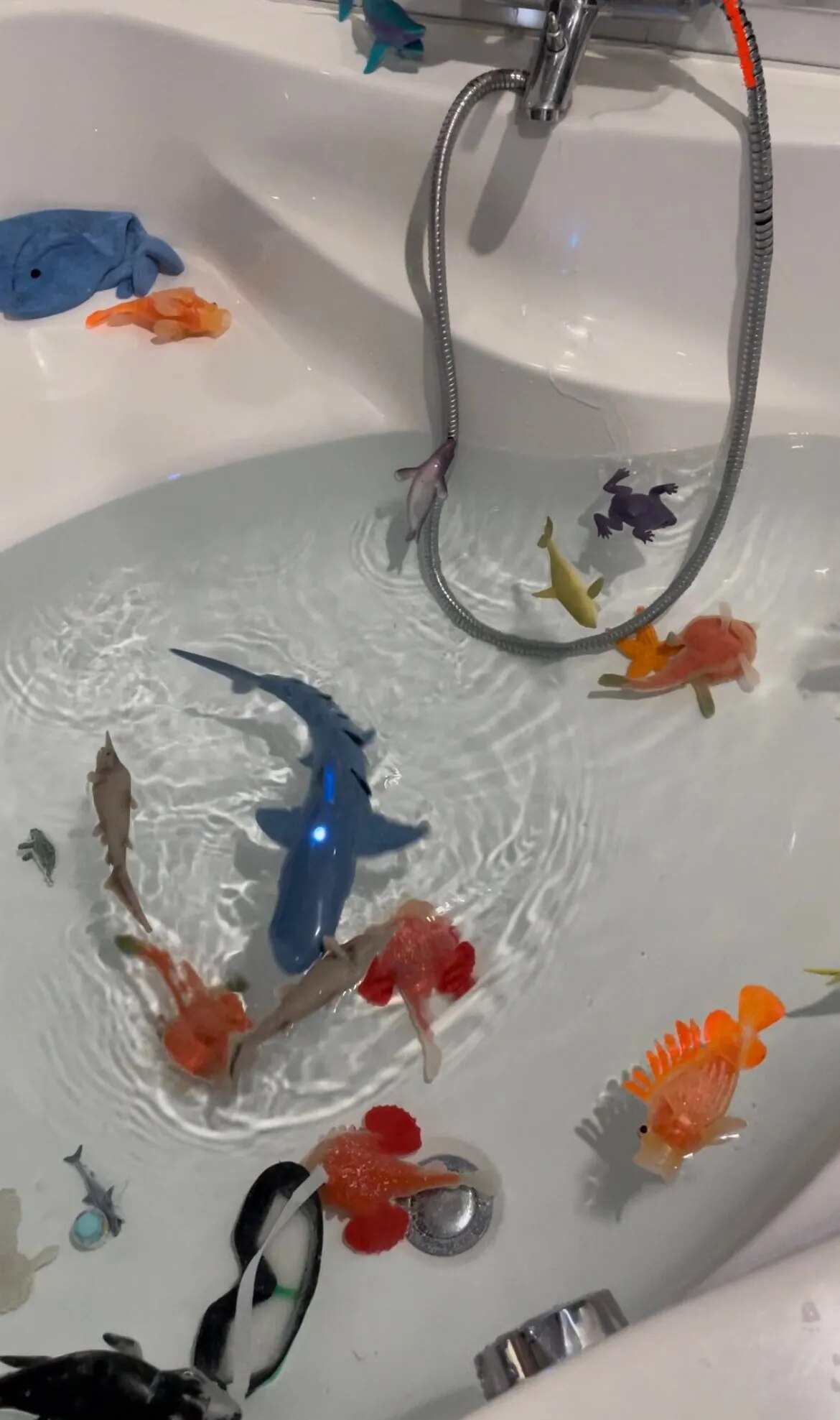 Remote Control Shark Robot With Water Spray For Kids photo review