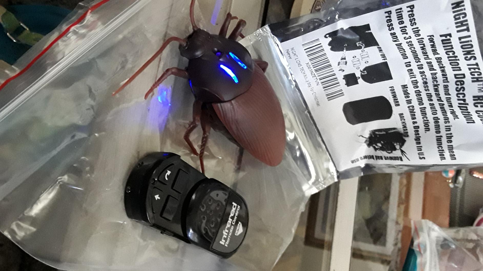 Remote Control Cockroach photo review
