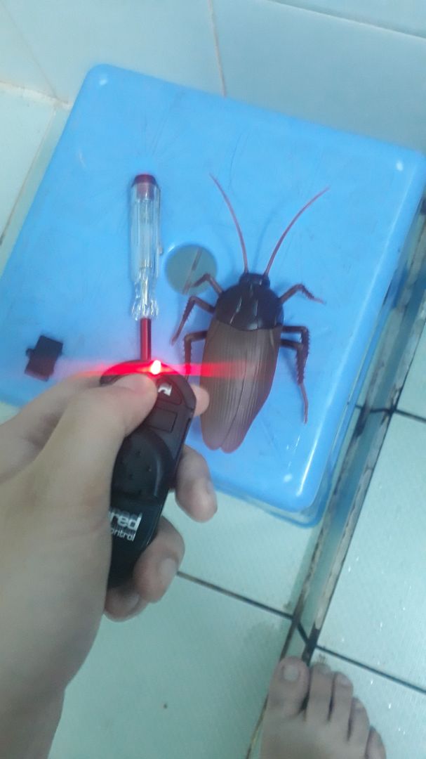 Remote Control Cockroach photo review