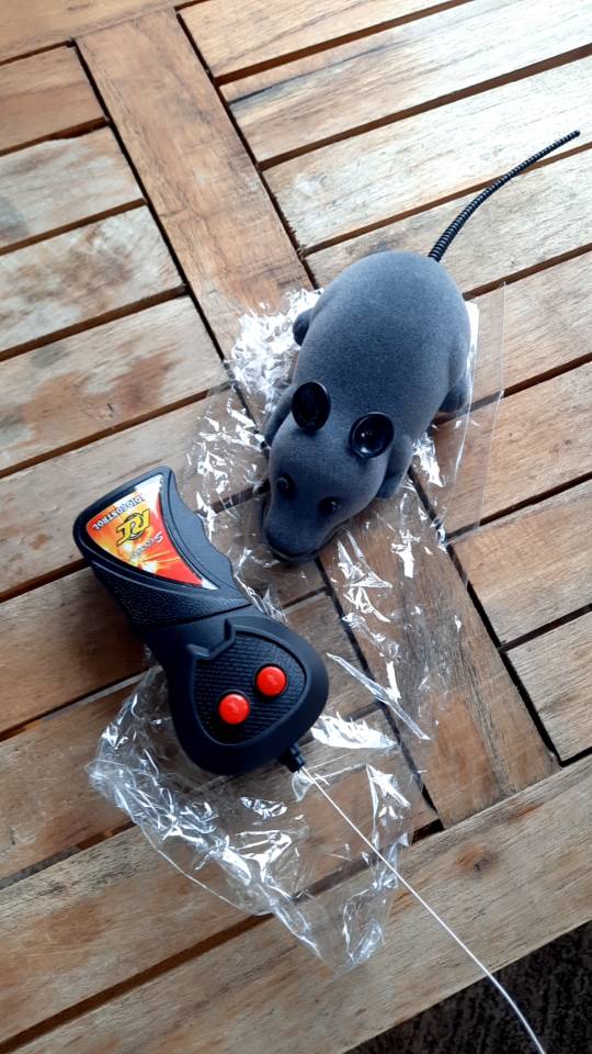 Remote Control Rat photo review