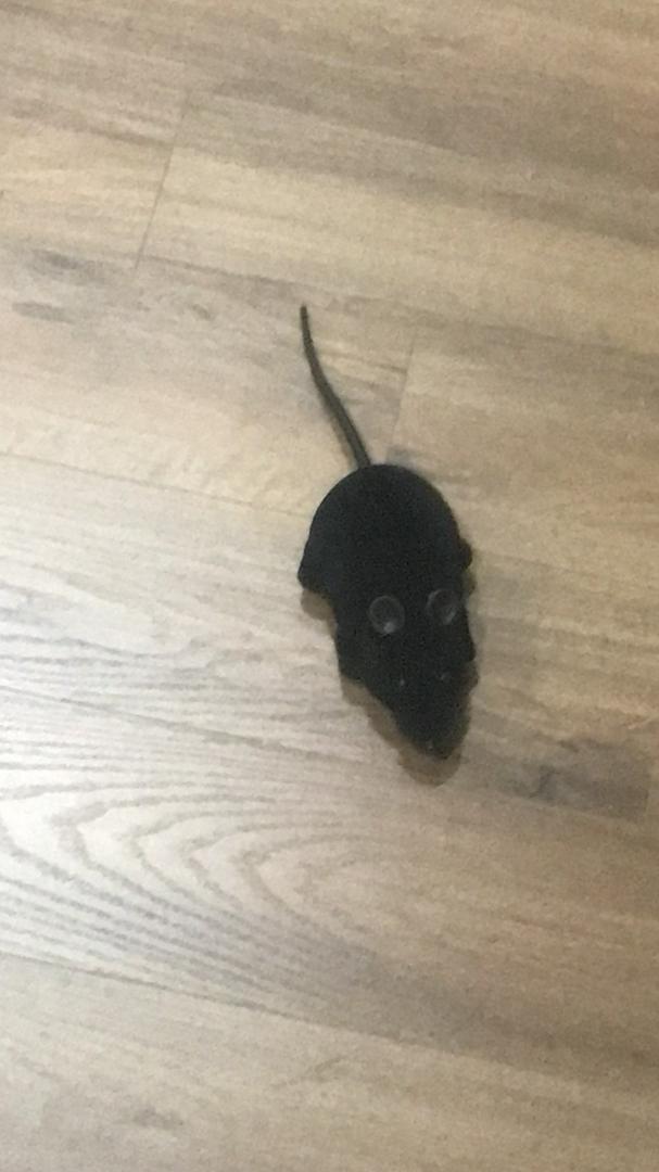 Remote Control Rat photo review