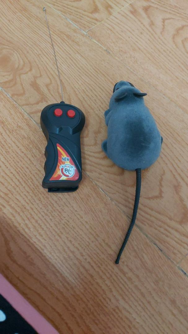 Remote Control Rat photo review