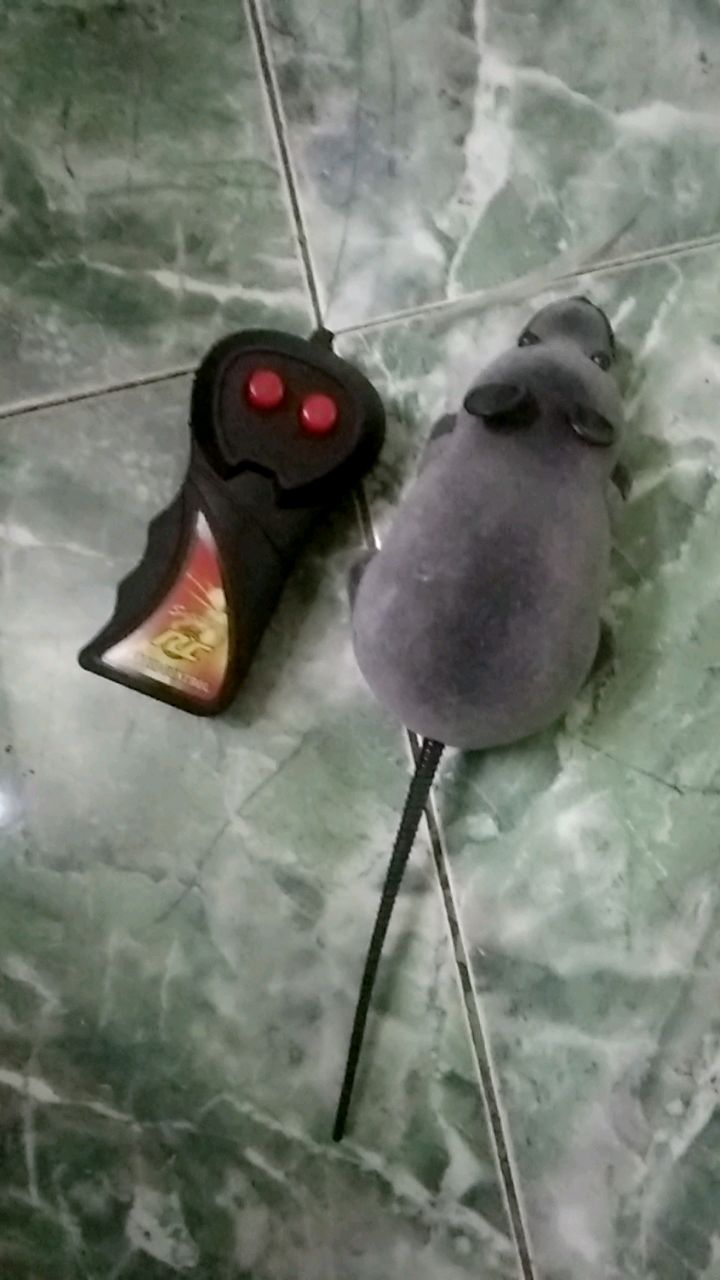 Remote Control Rat photo review