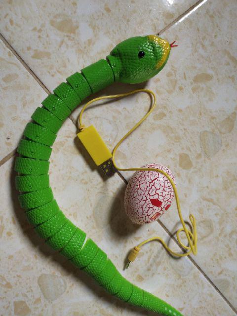 Remote Control Snake photo review