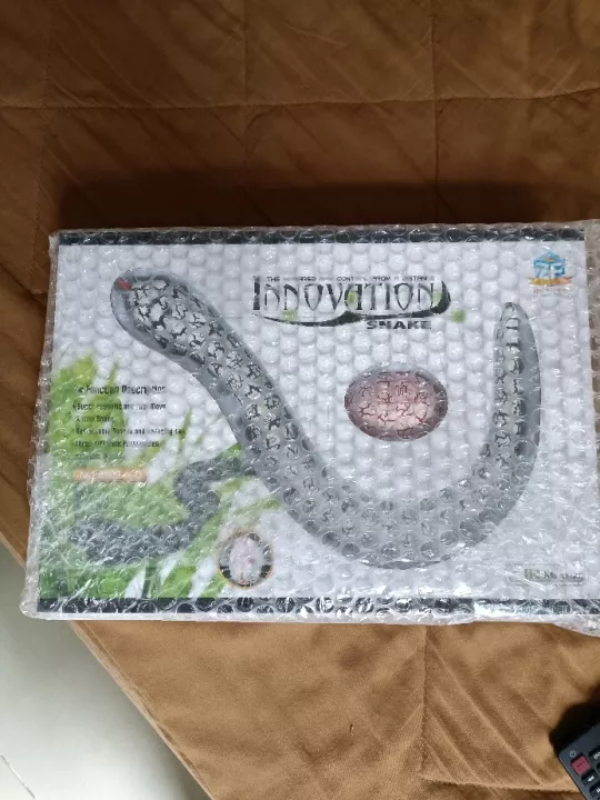 Remote Control Snake photo review