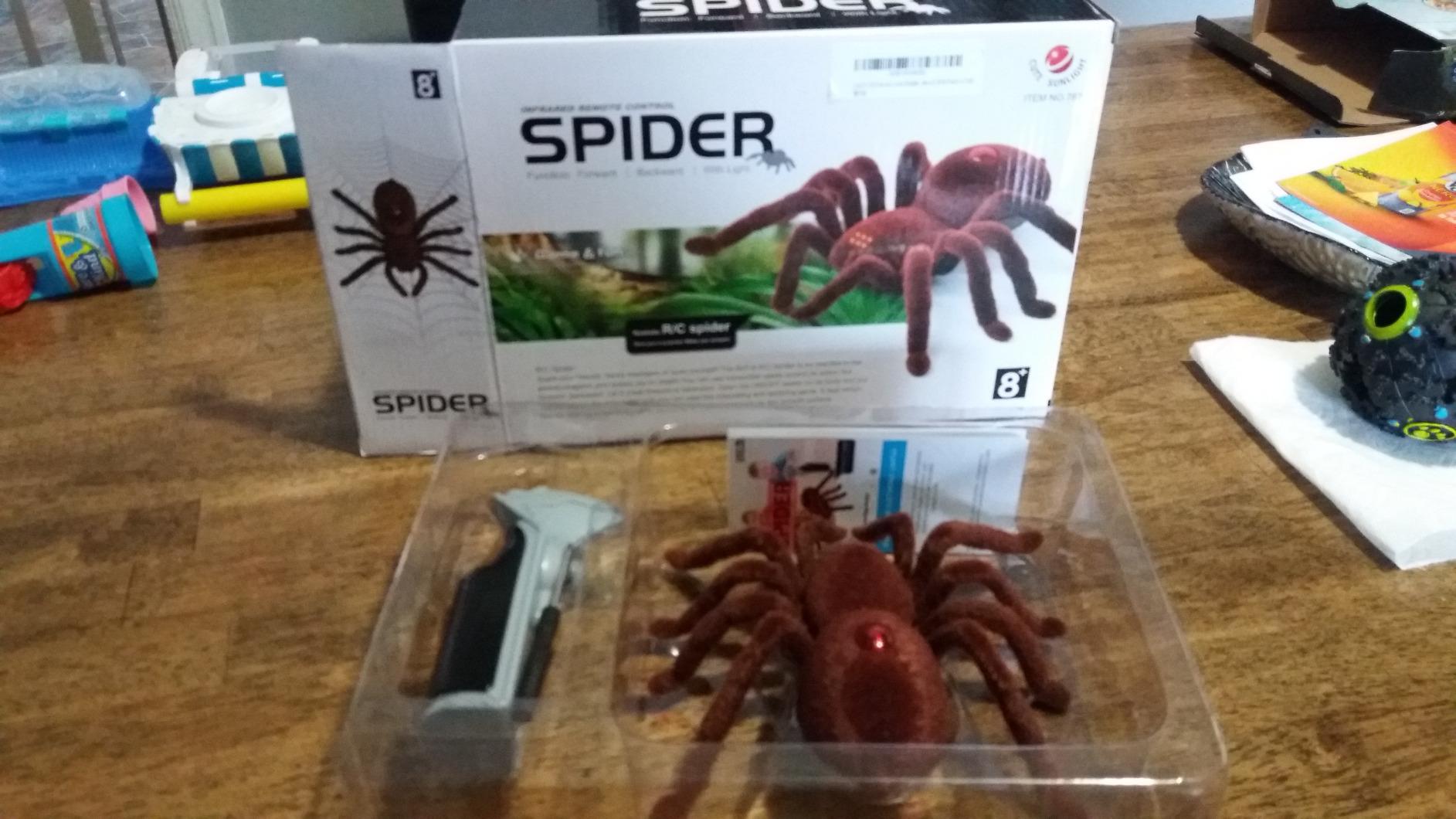 Remote Control Spider photo review