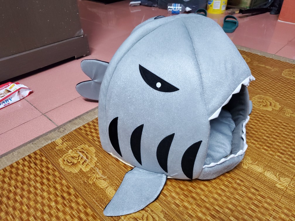 Shark Shaped Pet Sofa Bed photo review