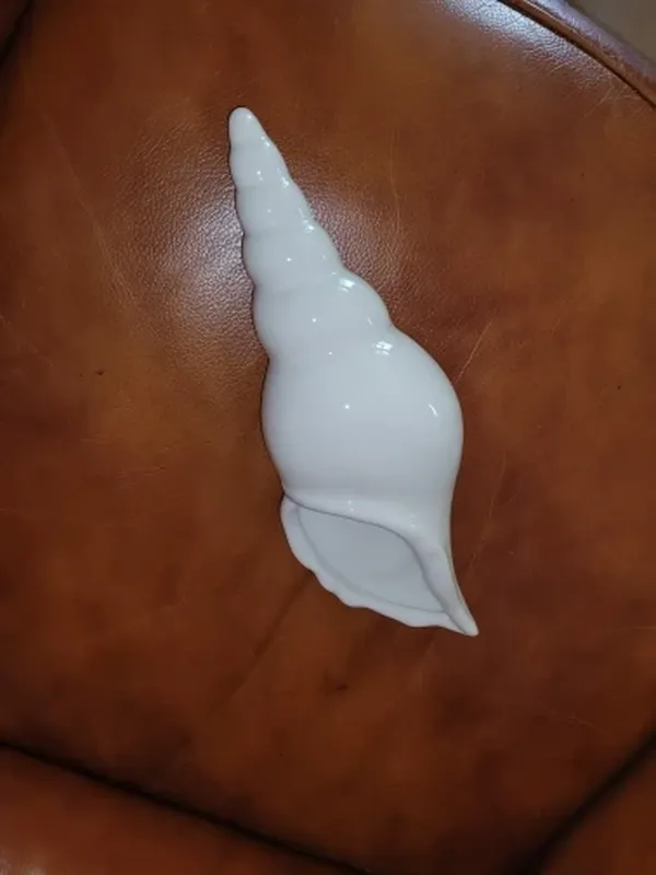 Modern Three-Dimensional Conch Shell Wall Vase For Home Bar Decoration photo review
