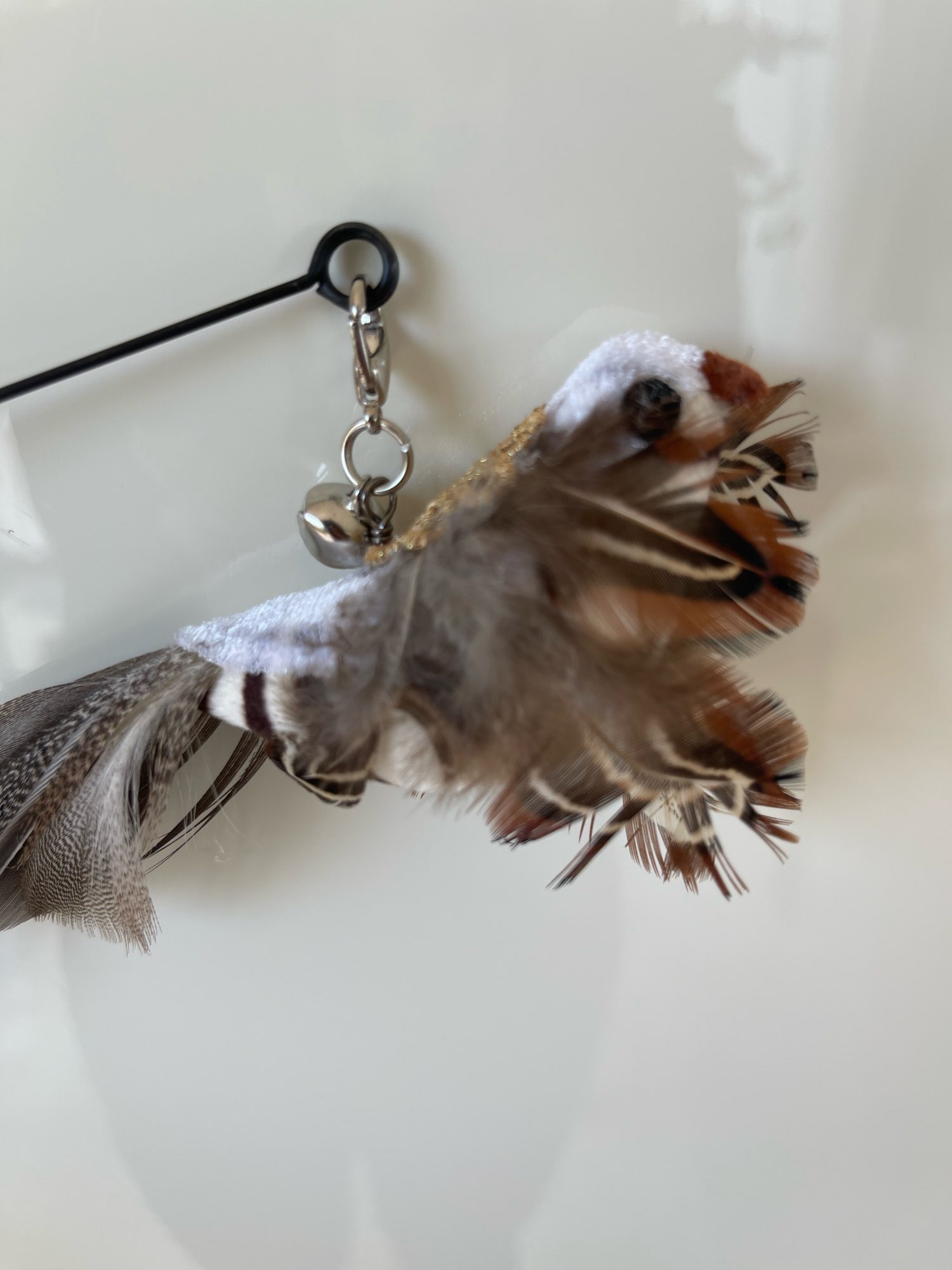 Interactive Cat Toy with Feather Bird and Bell photo review