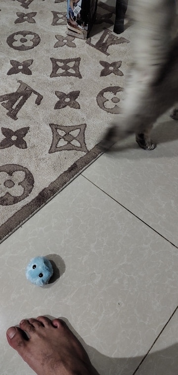 Interactive Cat Toy With Light And Sound photo review