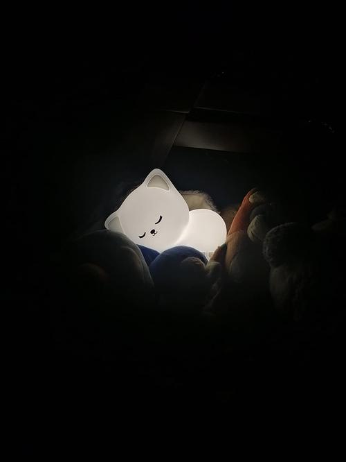 Rechargeable Soft Silicone Cat Seven Colors LED Night Light For Kids Room Decor photo review