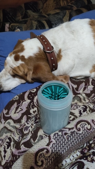 Soft Silicone Dog Paw Cleaner Cup photo review