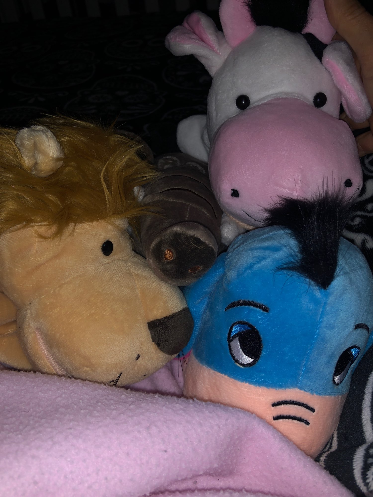 Educational Soft Stuffed Animal Toy for Kids photo review