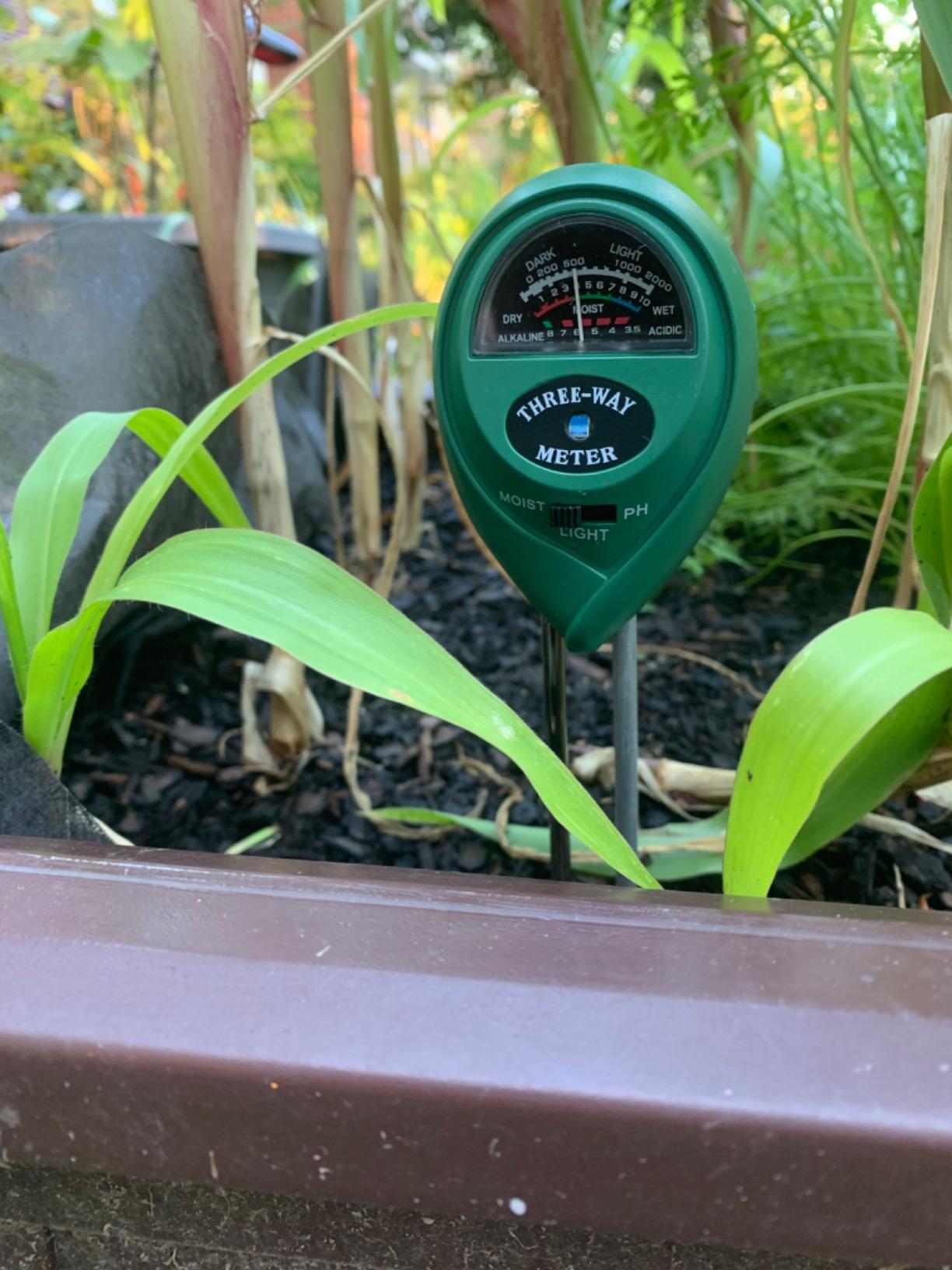 Soil Moisture Meter For Plants photo review