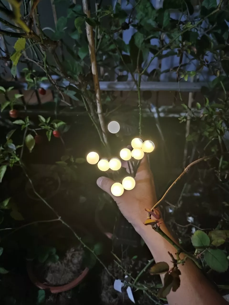 Waterproof Solar Firefly Lights Garden Decoration photo review