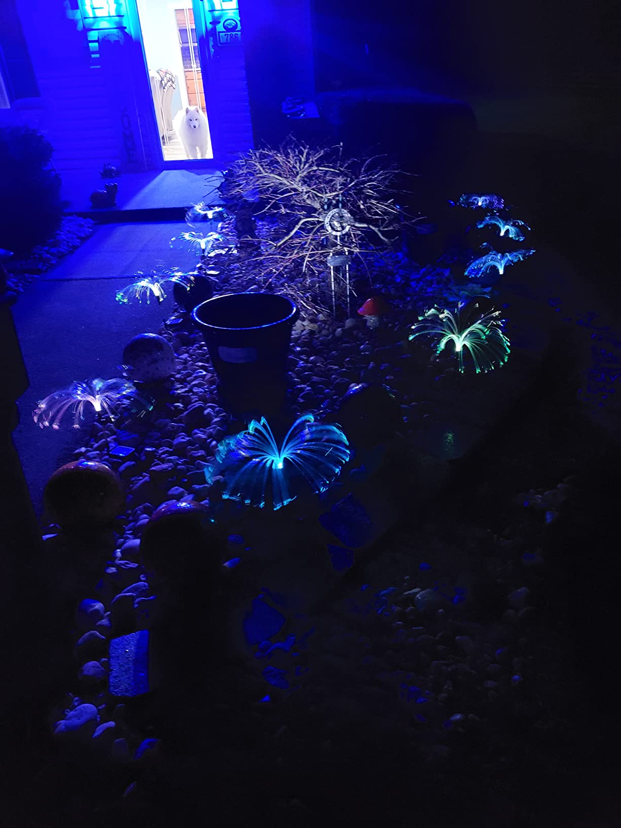 Sparkly Outdoor Lights Solar Fiber Optic Jellyfish Garden Lamp photo review