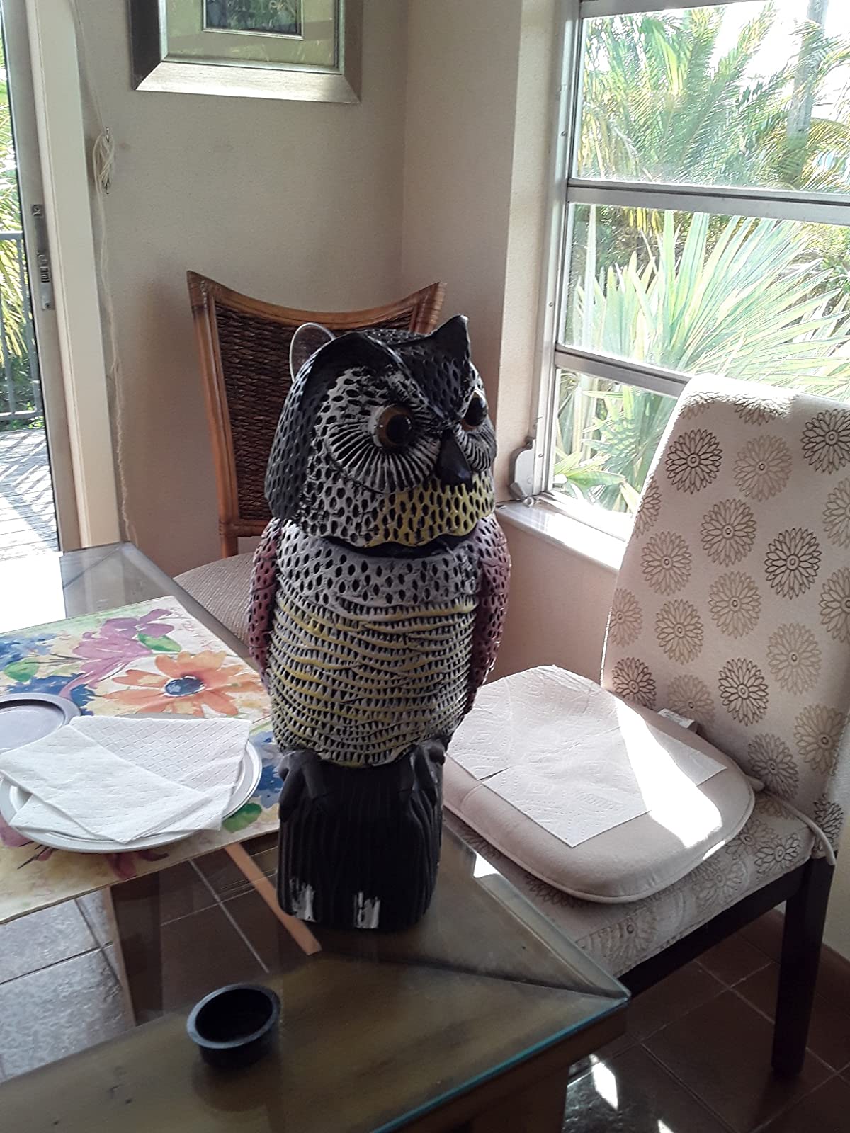 Solar Powered Owl Statue Repeller Birds for Garden Yard photo review