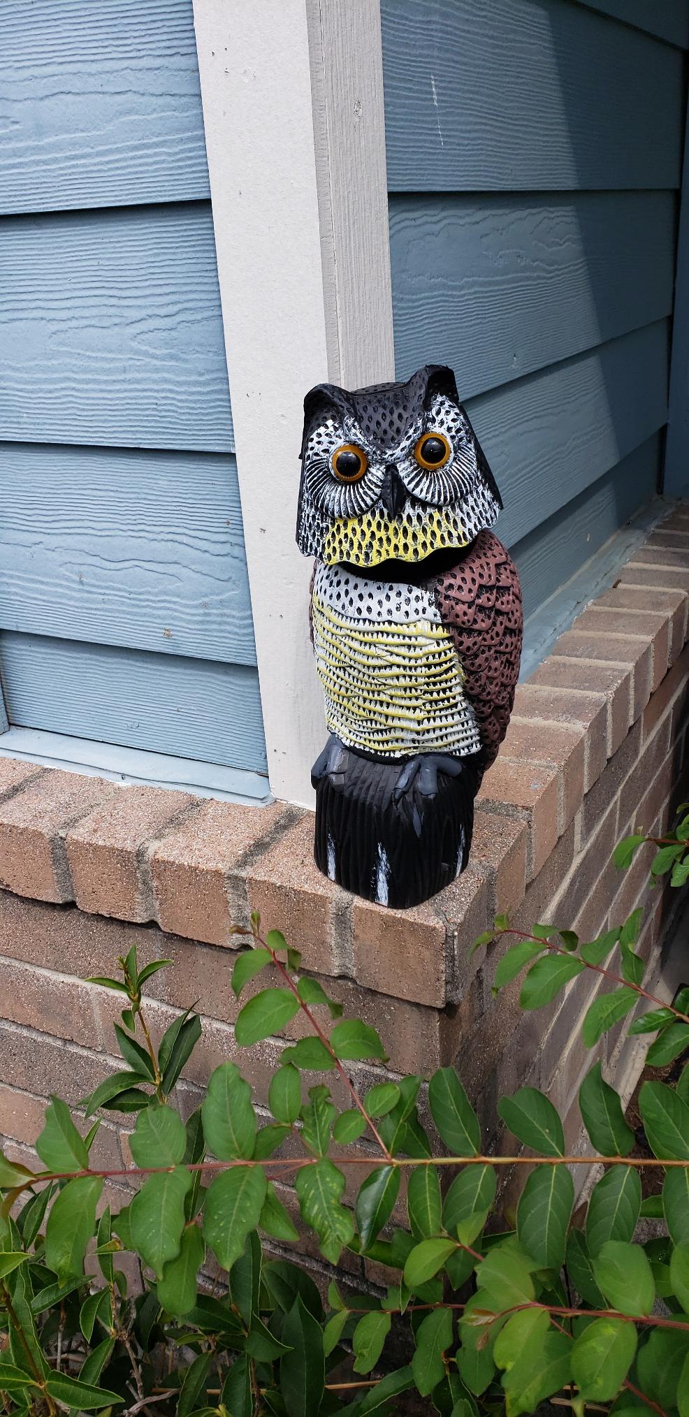 Solar Powered Owl Statue Repeller Birds for Garden Yard photo review