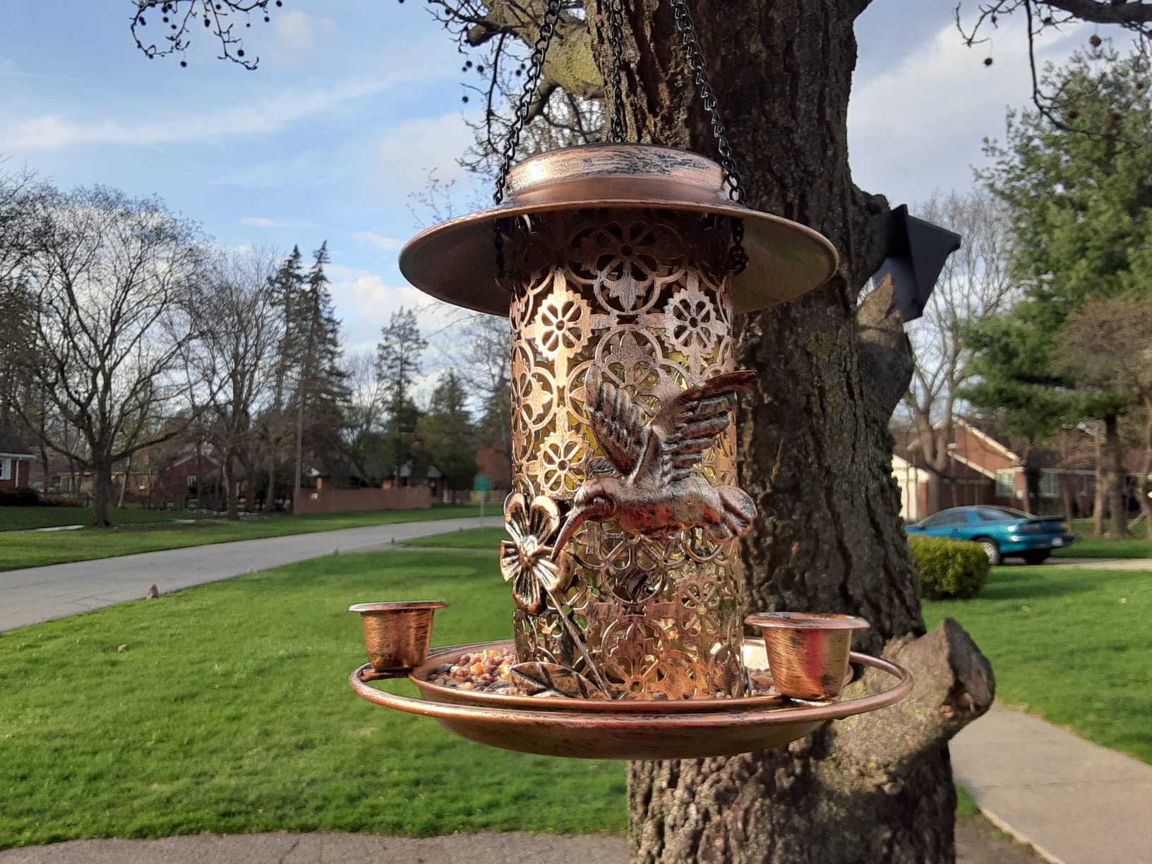 Solar Panoramic Iron Bird Feeder For Garden Decoration photo review