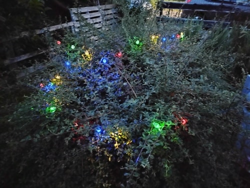 Solar Crystal Globe String Lights for Garden and Outdoor Decor photo review