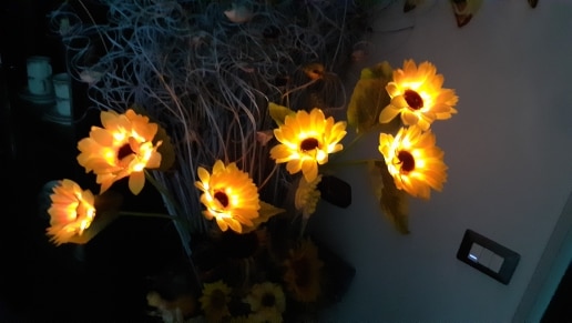 Outdoor Garden Decoration Solar Sunflower Lawn Lamp photo review