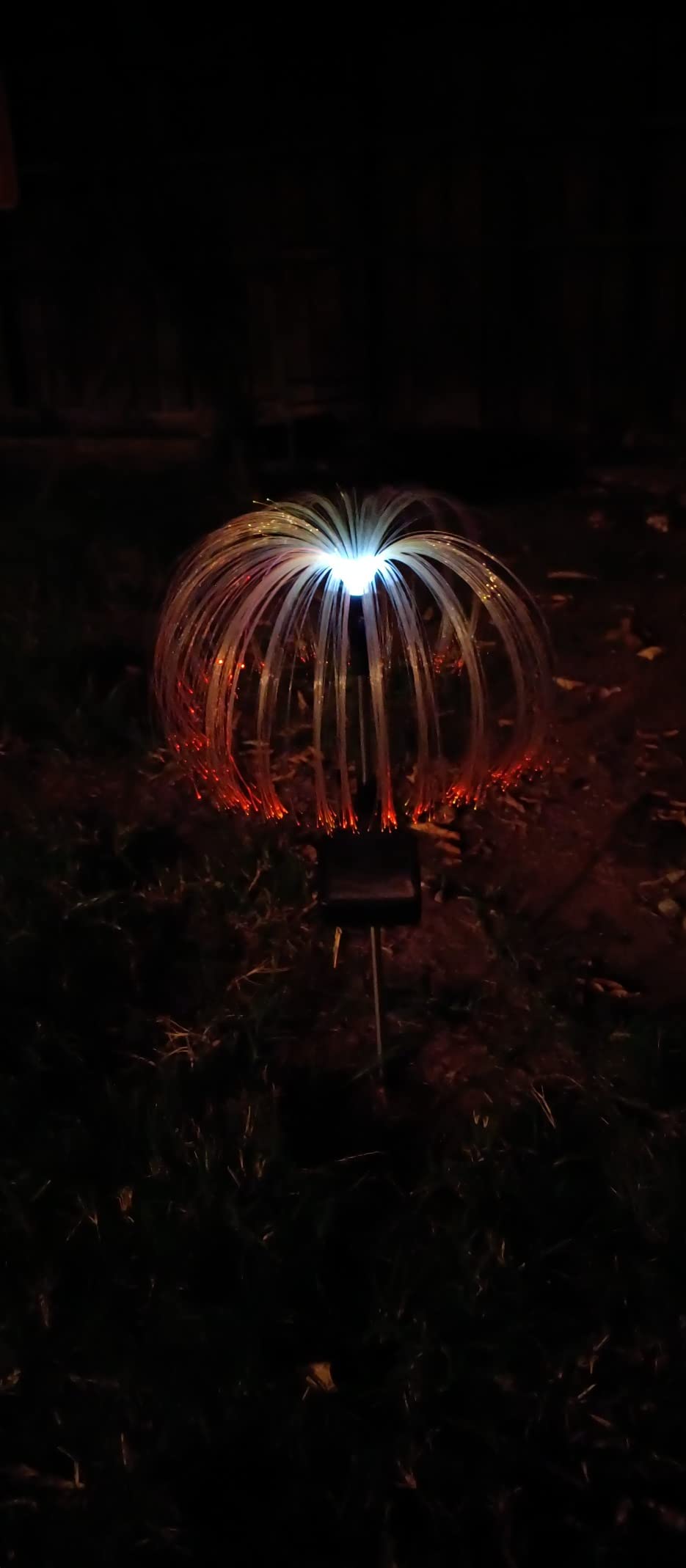 Sparkly Outdoor Lights - Solar Fiber Optic Jellyfish Garden Lamp photo review
