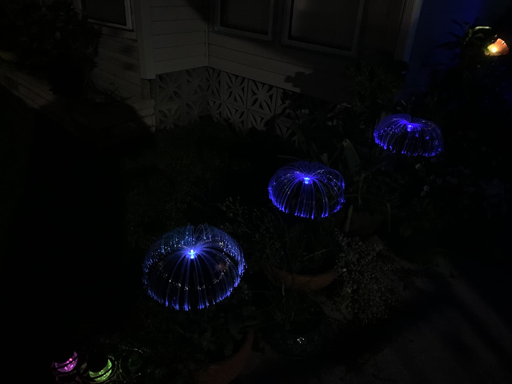 Sparkly Outdoor Lights - Solar Fiber Optic Jellyfish Garden Lamp photo review