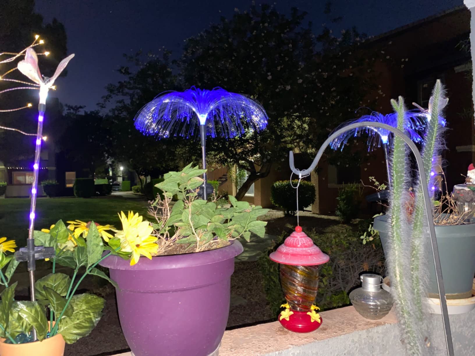 Sparkly Outdoor Lights - Solar Fiber Optic Jellyfish Garden Lamp photo review