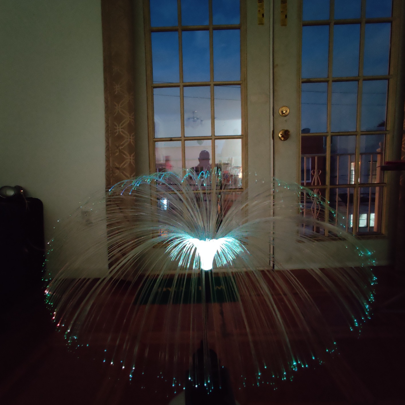 Sparkly Outdoor Lights - Solar Fiber Optic Jellyfish Garden Lamp photo review