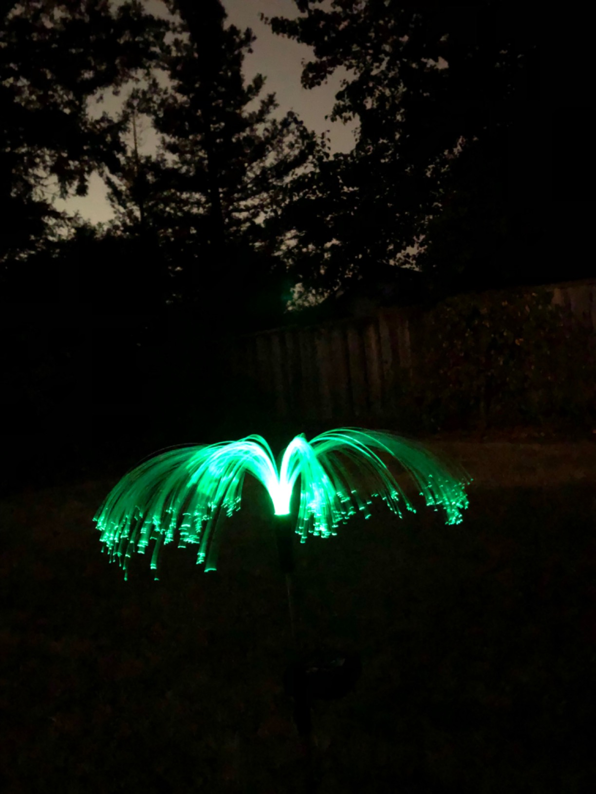 Sparkly Outdoor Lights - Solar Fiber Optic Jellyfish Garden Lamp photo review