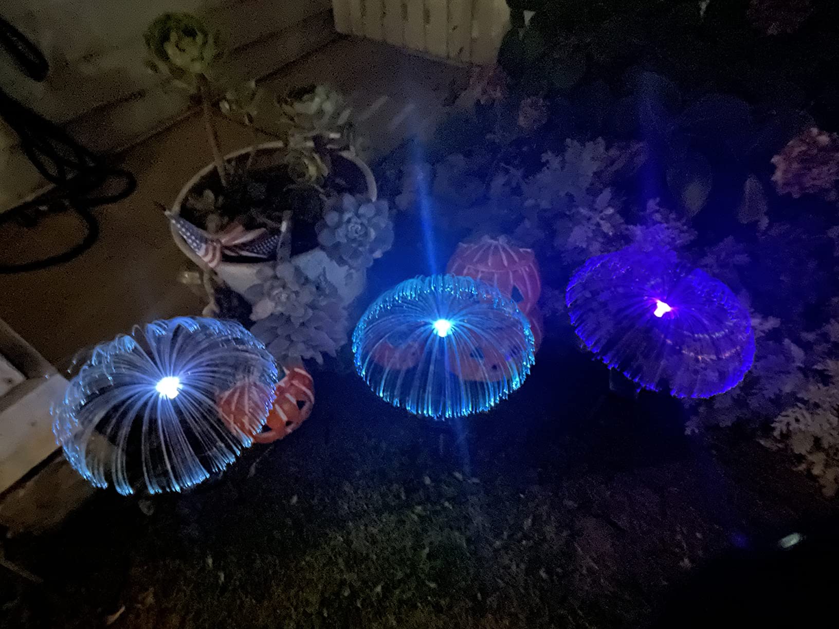 Sparkly Outdoor Lights - Solar Fiber Optic Jellyfish Garden Lamp photo review