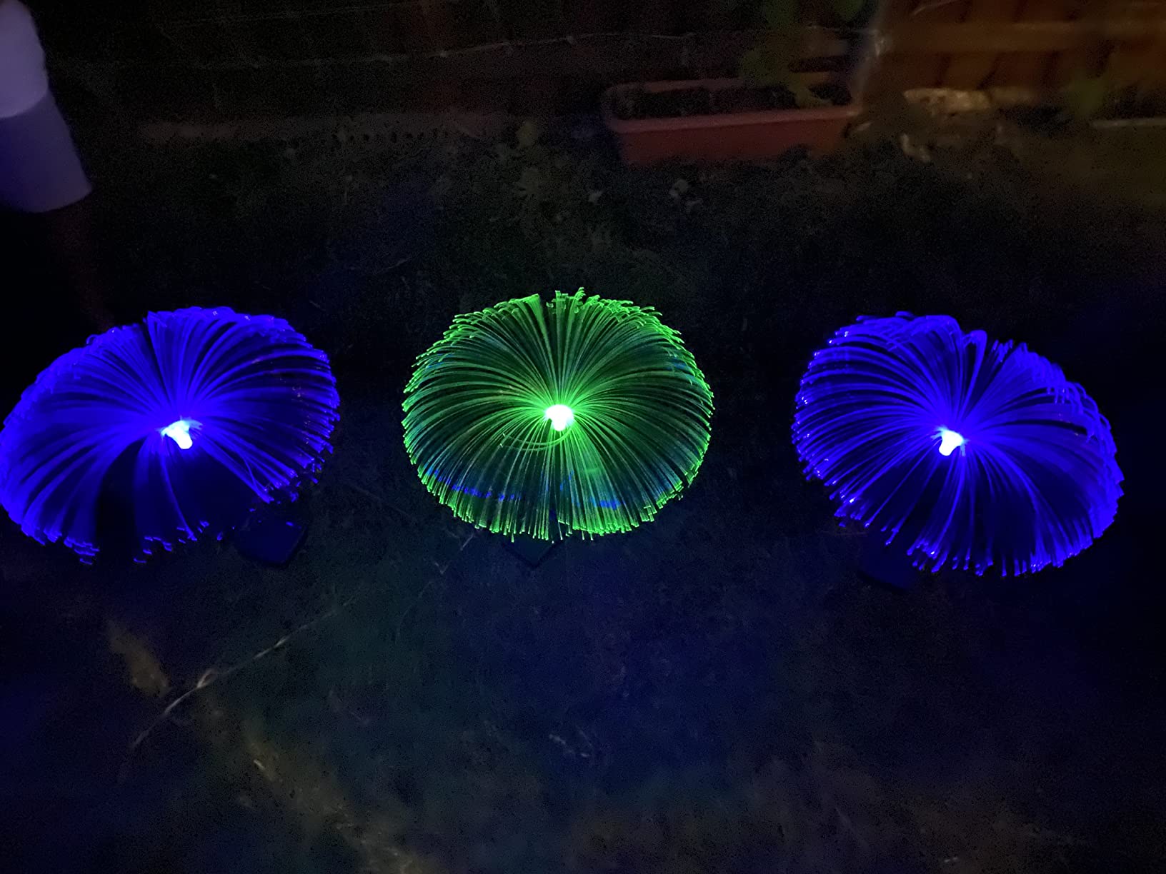 Sparkly Outdoor Lights - Solar Fiber Optic Jellyfish Garden Lamp photo review