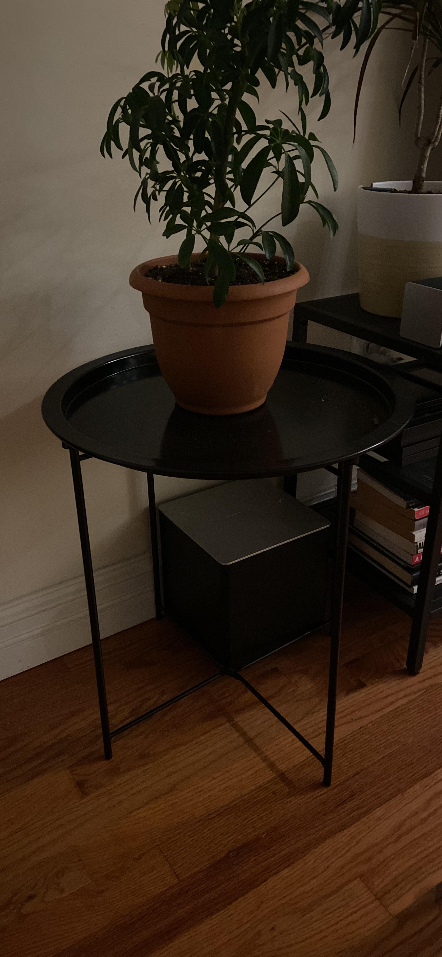 Stylish Foldable Metal Coffee Table photo review