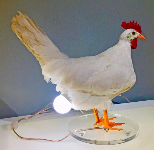 Taxidermy Chicken Egg Lamp