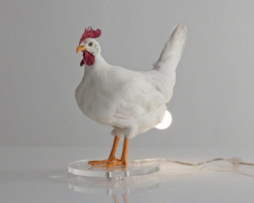 Taxidermy Chicken Egg Lamp