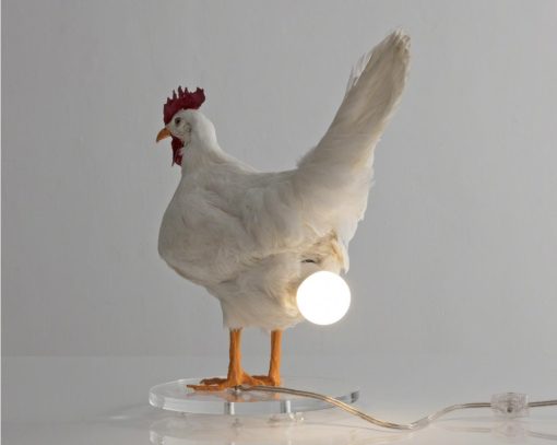 Taxidermy Chicken Egg Lamp