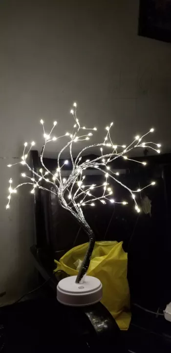 The Fairy Light Spirt Tree photo review