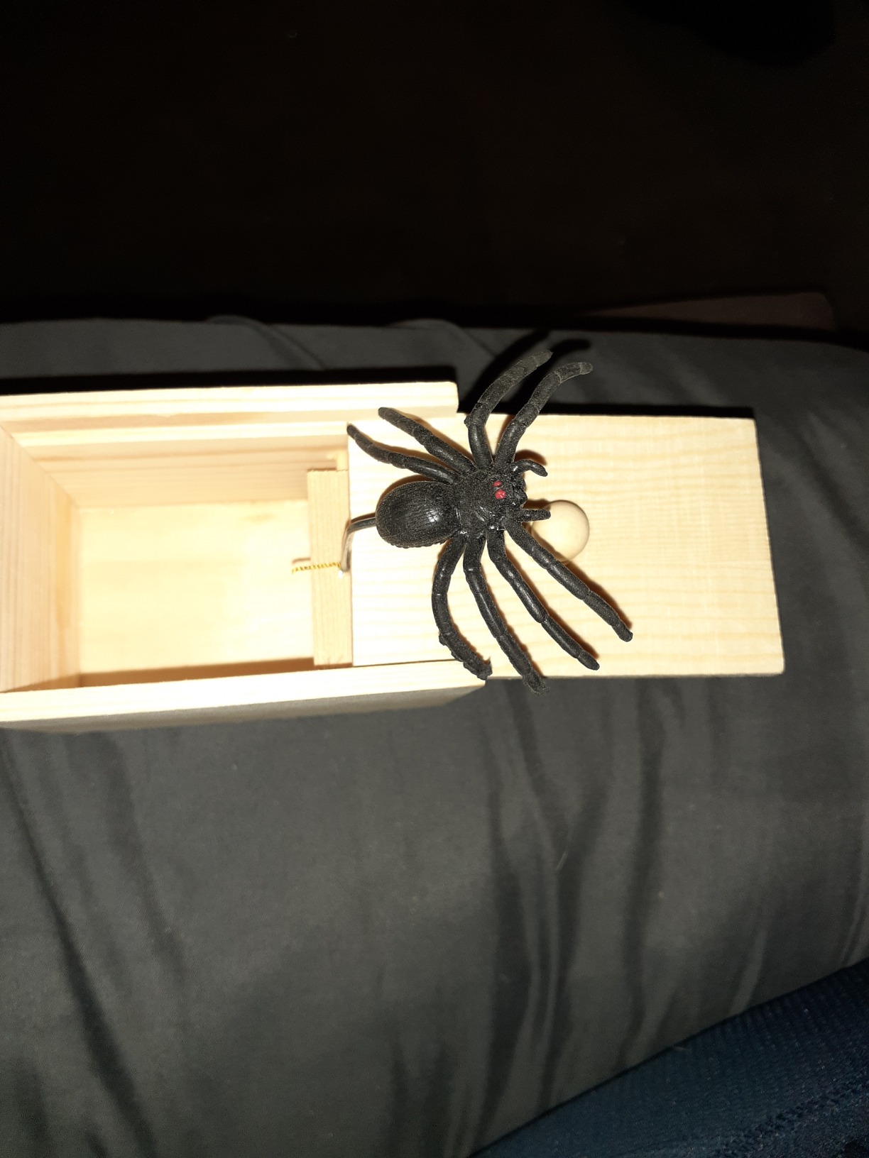 Toy Box Insect Wooden Prank Trick Spider In A Box photo review