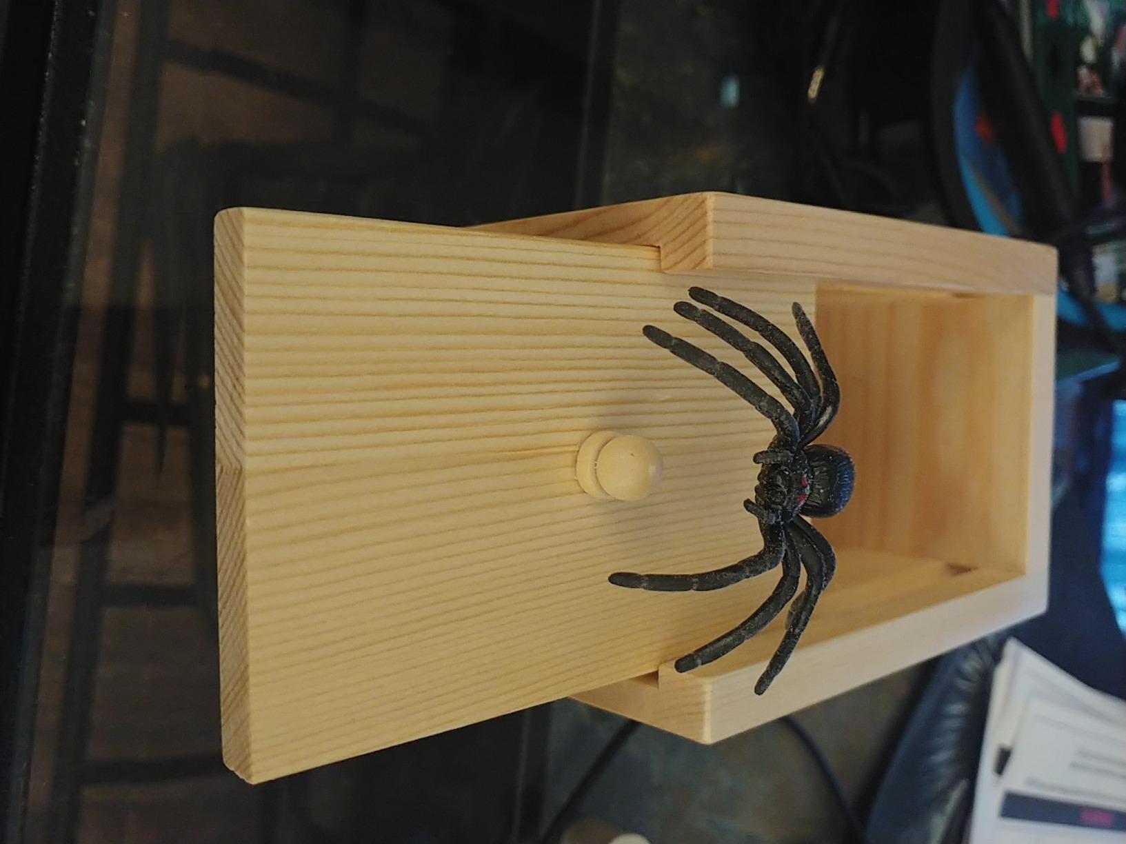 Toy Box Insect Wooden Prank Trick Spider In A Box photo review